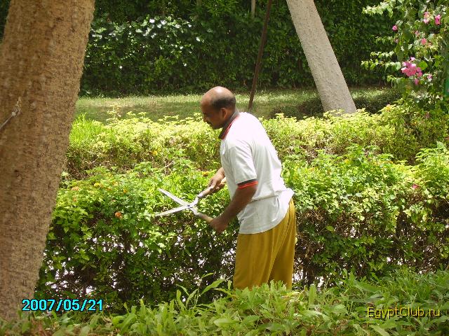 waves �������