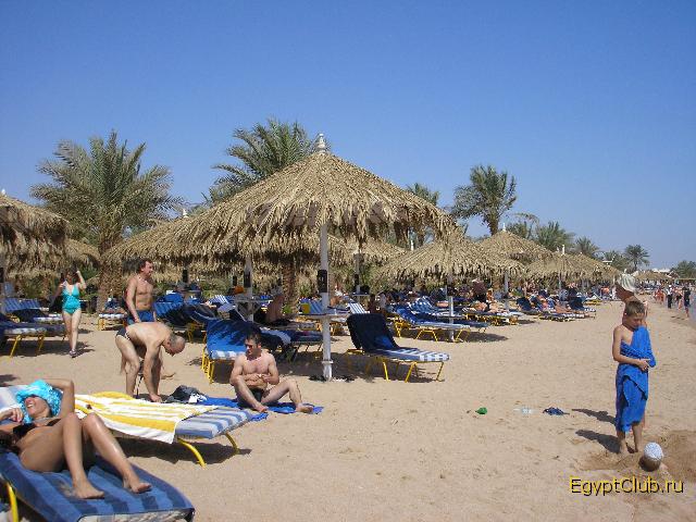 ���� ������ �������