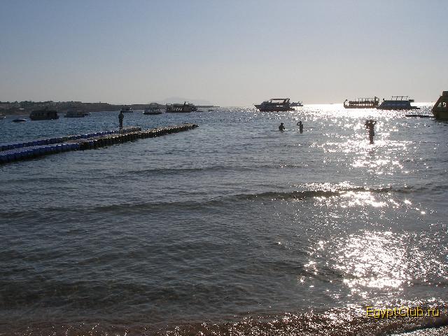 �������� ����