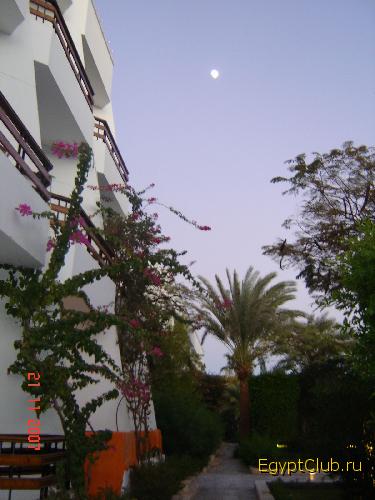 ����� ������ ����