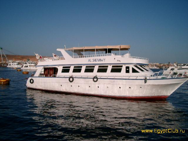 ������ � ����� ����-���-�����