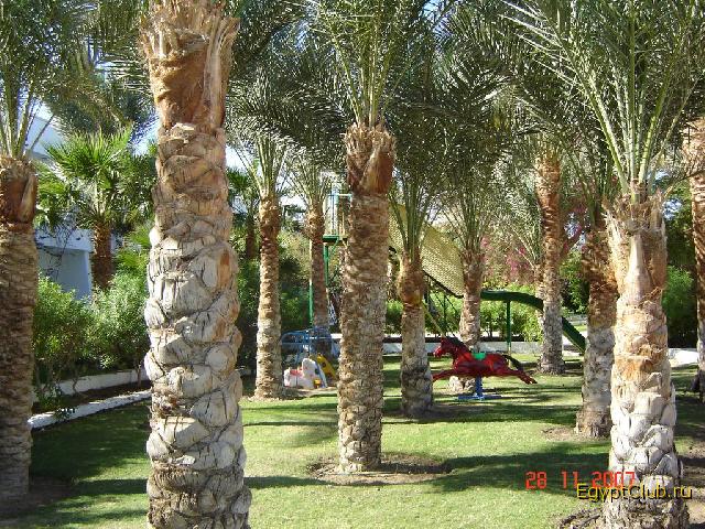 ������� �������� ����� � ������