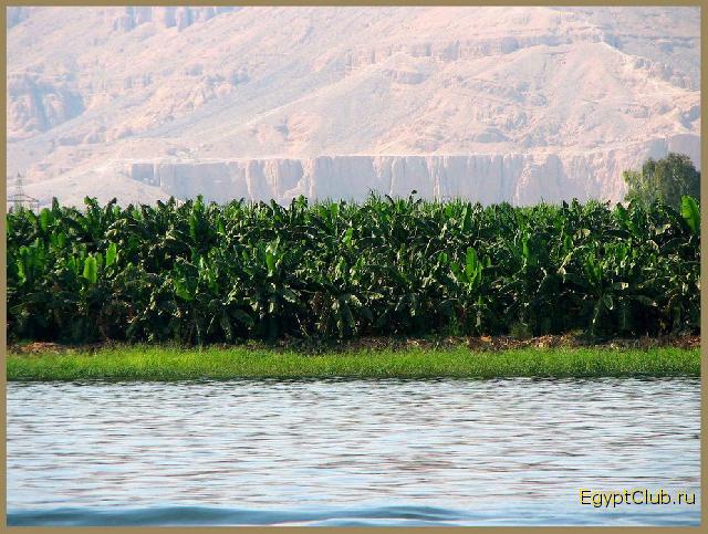 ��������� ����