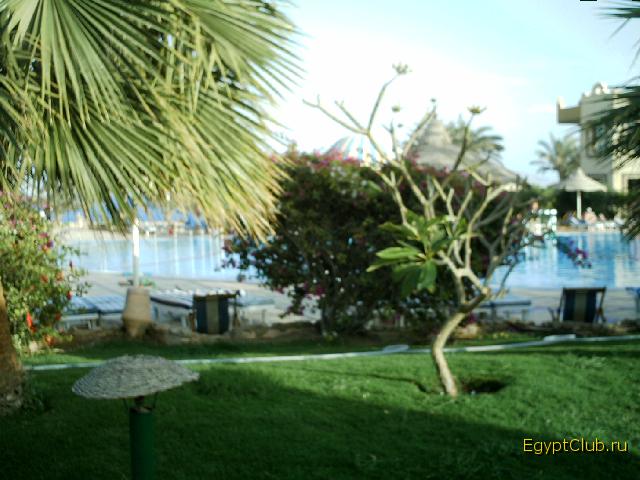 ��� �� �������