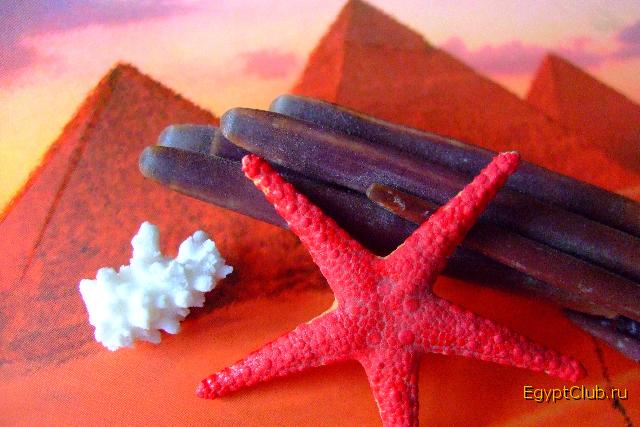 ���� �������� ����