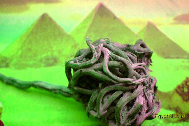 ��� ���� ����