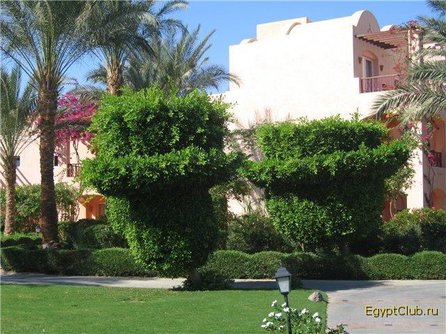 ������ ���