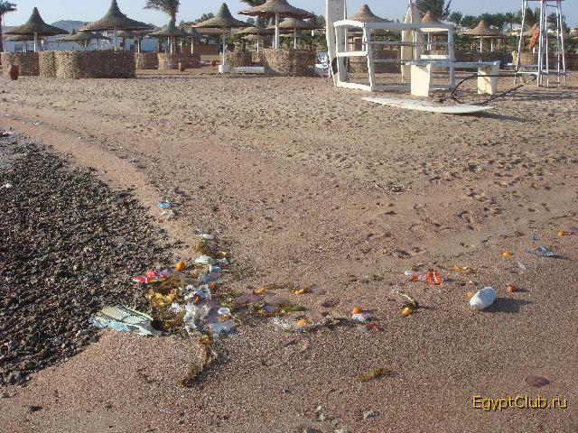 ���� ����� ���