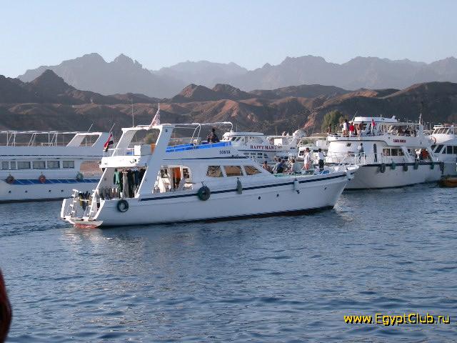 ������ � ����� ����-���-�����