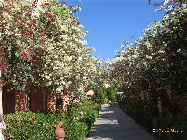 ������ ���