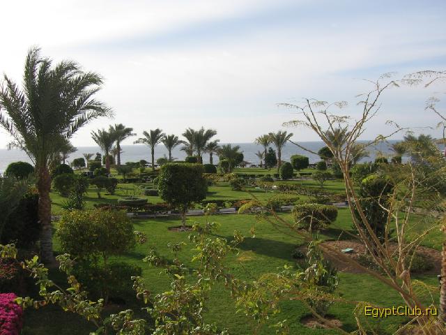 ��� �� ����