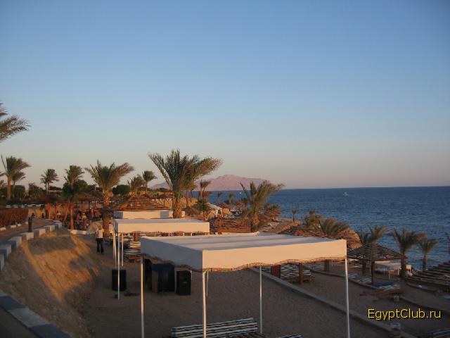 �������� ����