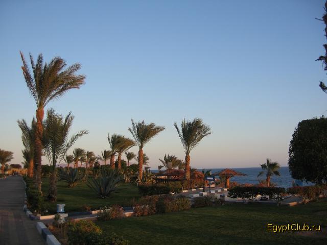 ������ � �����