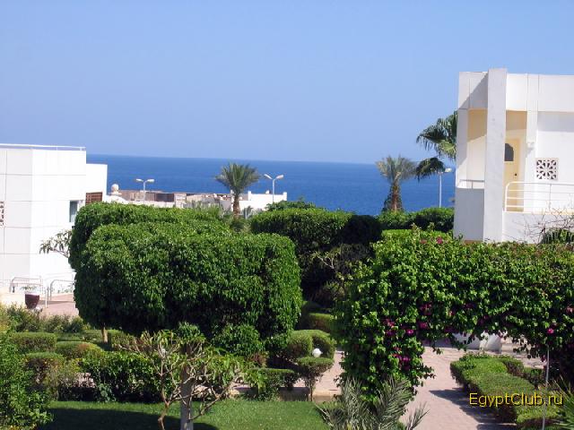 ��� �� ������