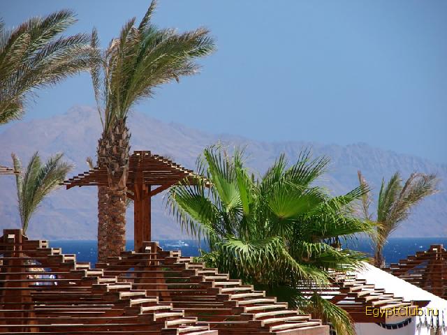 ����. ��� �� �. �����