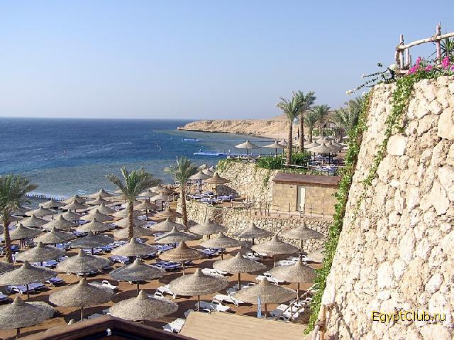 ��� �� ����