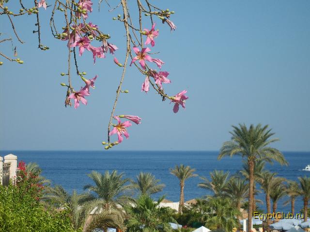 ��� �� ����