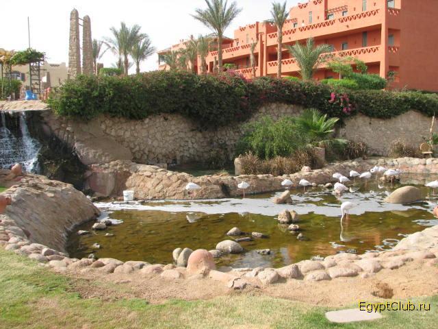 ���� � ��������