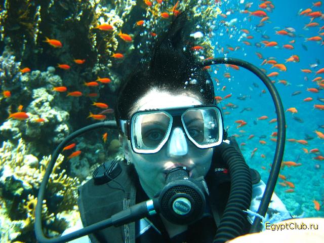 � �������� �������� ����