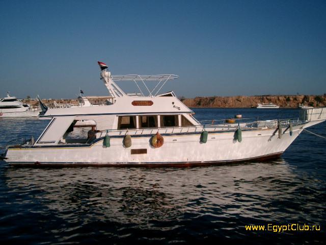 ������ � ����� ����-���-�����