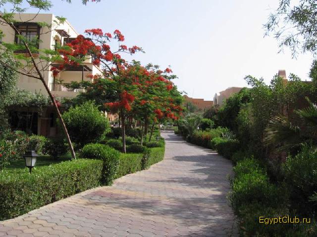 Iberotel Makadi Saraya 5*