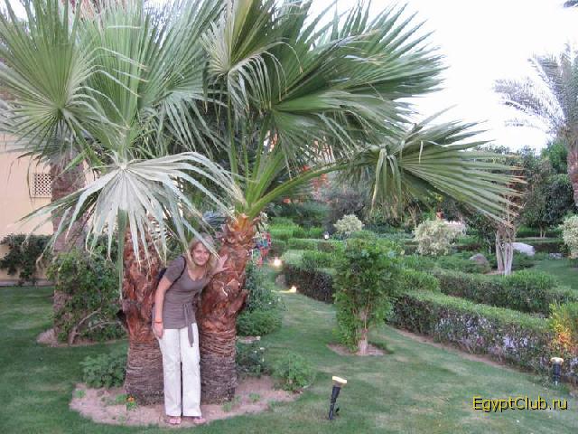 Iberotel Makadi Saraya 5*