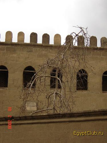 ������ ��������� ���