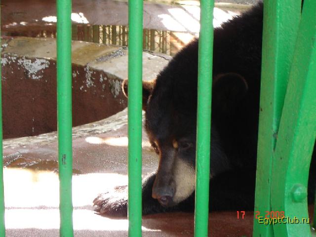 �������� �������