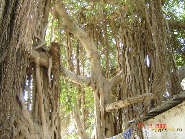 �������� �������