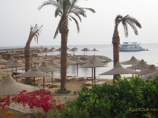 ���� � 7 ����