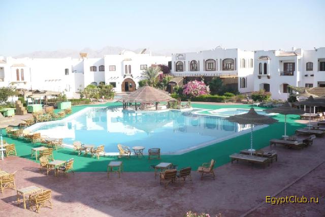 ��� ����