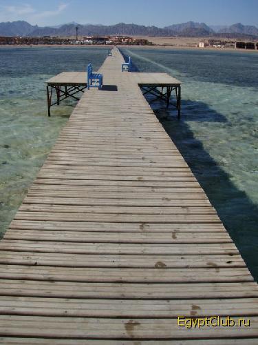 ������ (��� � ����)