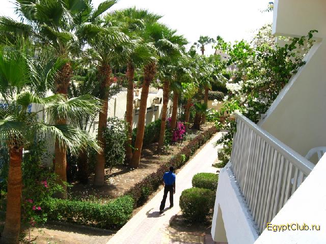 �� ��� �� !)))