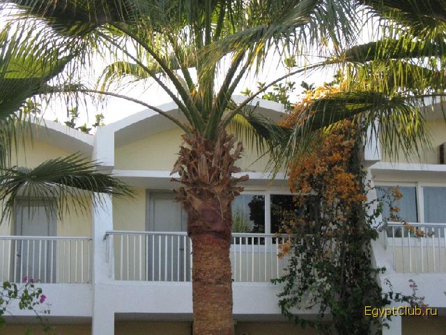 ����� �35