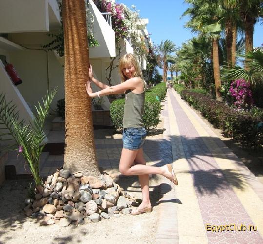 ������  �� ����