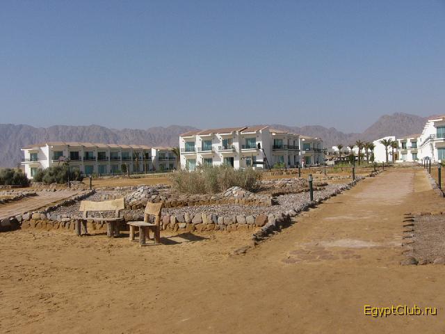 Domina Elaria Nuweiba