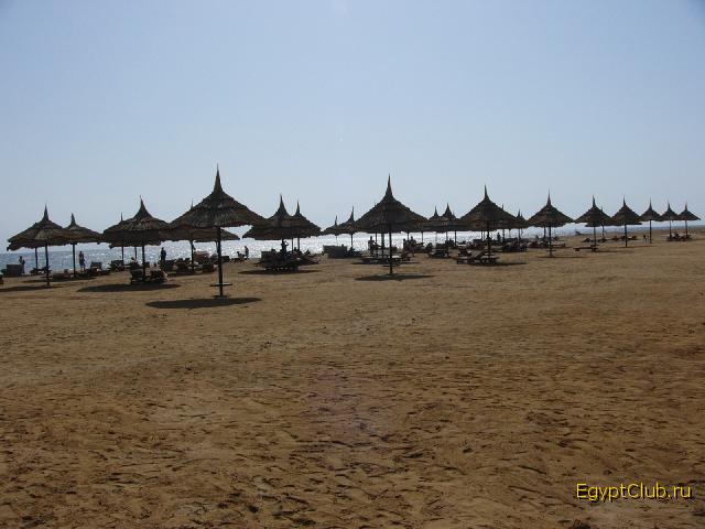 Domina Elaria Nuweiba