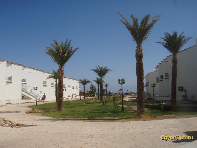 Domina Elaria Nuweiba