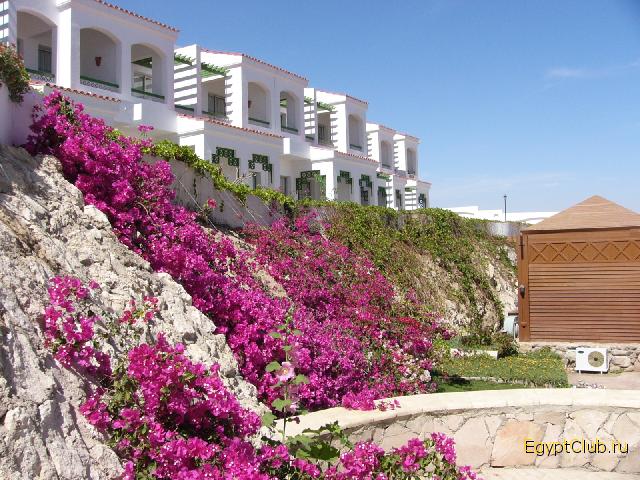 Coral Beach Tiran 