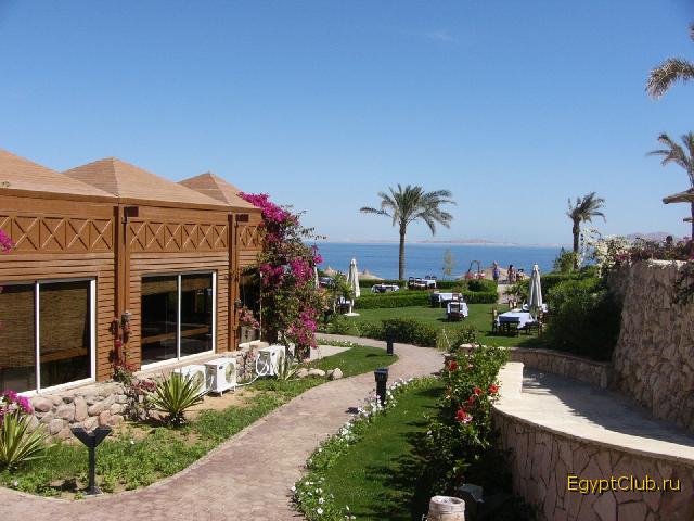 Coral Beach Tiran 