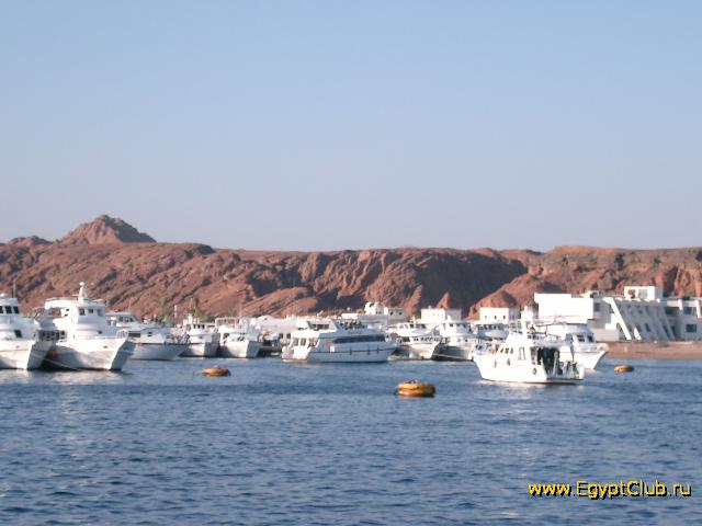 ������ � ����� ����-���-�����