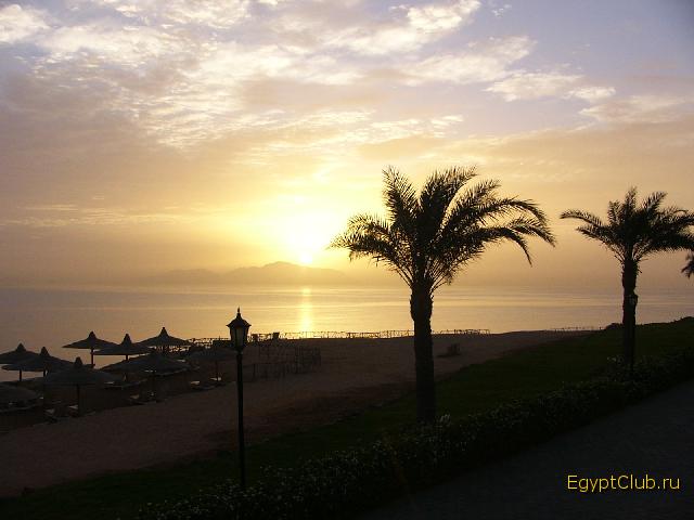 Coral Beach Tiran 