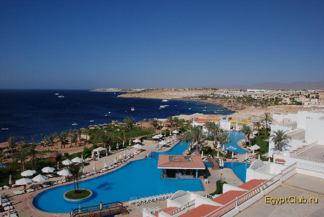 ���� 2008�.