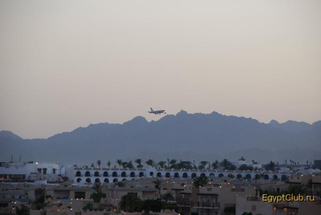 ���� 2008�.