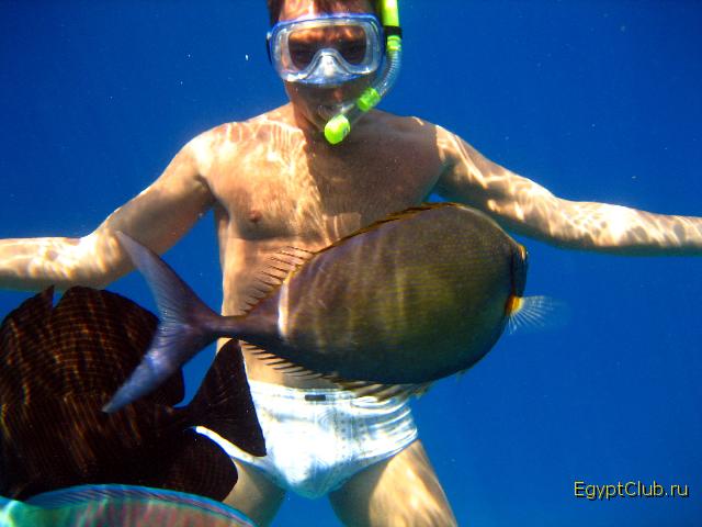 ��� � �����