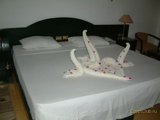 ��� ��������