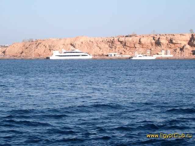 ������ � ����� ����-���-�����