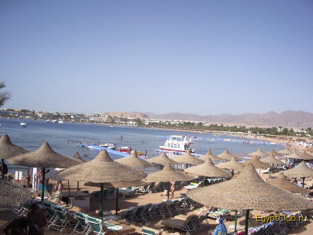 ���� �������