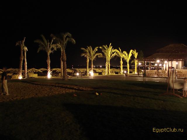 ��� ����� ����� �����