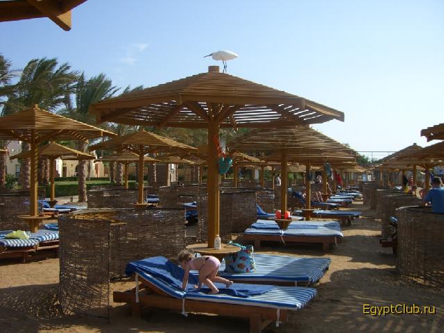 ���� �����